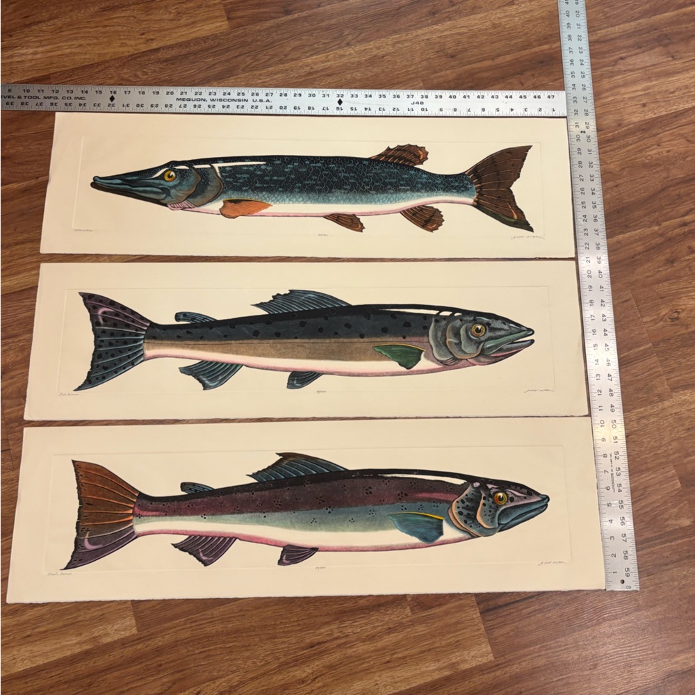 ATLANTIC SALMON, PINK SALMON & NORTHERN PIKE limited edition fine art prints
